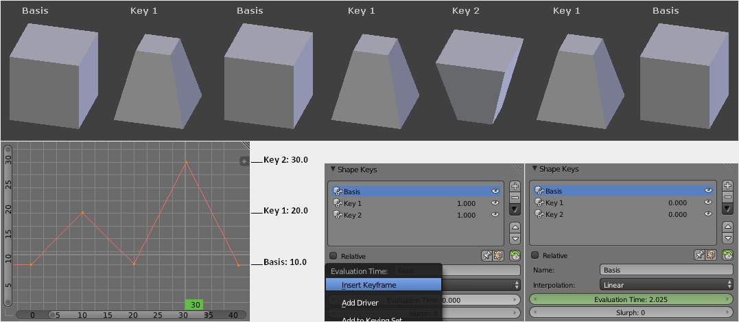 ../_images/Shape_Keys_Evaluation.jpg